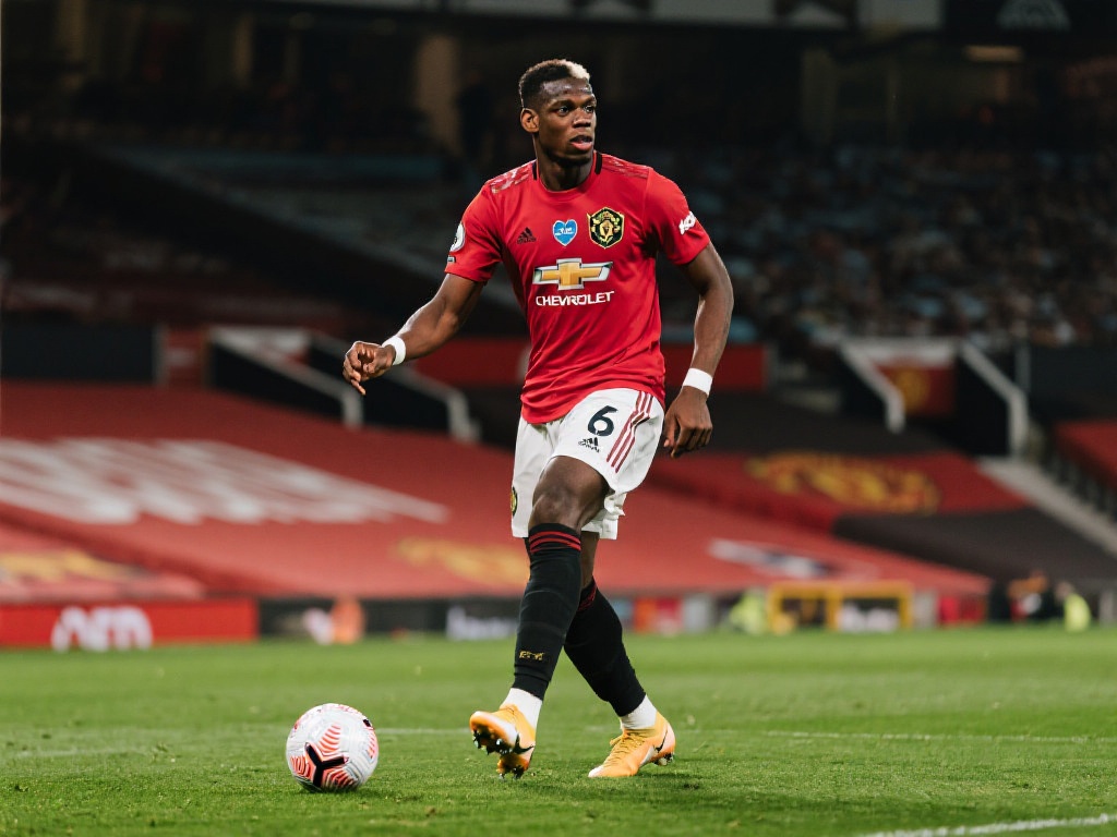 迷感慨道 迷感慨道